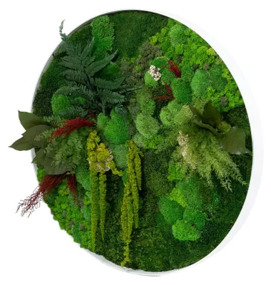 Produktbild von Rundes Moosbild Dschungel Design (⌀80 cm, weiß)