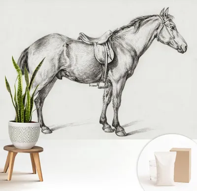 Produktbild von Fototapete selbstklebend - 208x146 cm - Tapete - Wandtapete - Wandbilder - Klebefolie - Dekofolie - Tapete Folie - Wand - Dekoration - Wohnzimmer - Skizze eines Pferdes