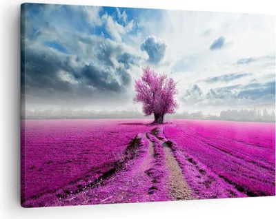 Produktbild von Bild auf Leinwand - Leinwandbild - Heidefeld Baum Wolken Landschaft - 70x50cm - Wand Bild - Wanddeko - Leinwanddruck - Bilder - Kunstdruck - Wanddekoration - Leinwand bilder - Wandkunst - AA70x50-2547