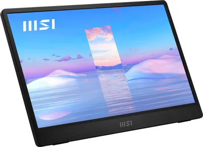 Produktbild von MSI Pro MP161, 39,6 cm (15.6"), 1920 x 1080 Pixel, Full HD, LED, 4 ms, Schwarz