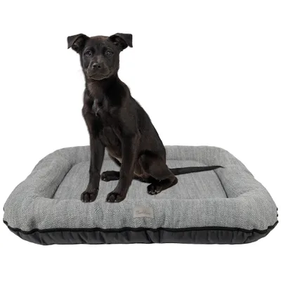 A black puppy sits on a gray and black dog bed.