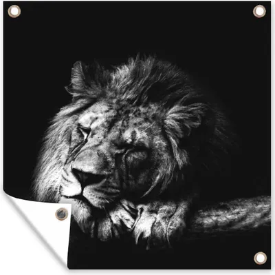 Produktbild von MuchoWow®