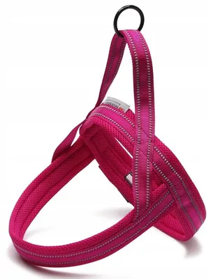 Produktbild von Truelove Sportgeschirr L Pink mit Griff und Reflektoren
