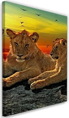 Immagine prodotto di Quadro su tela leoni nella savana 60x90 cm Feeby quadro colorato pronto per essere appeso