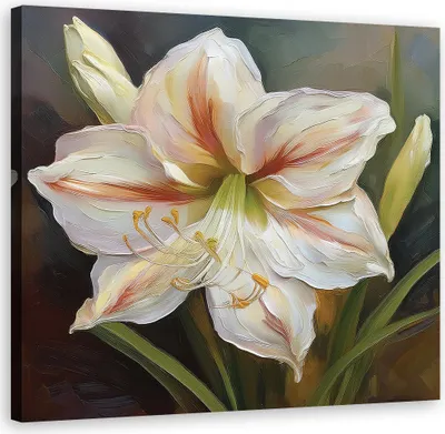 Produktbild von Leinwandbild Lilienblüte Botanisch 60x60 Feeby Weiß bild für die wand bereit zum aufhängen