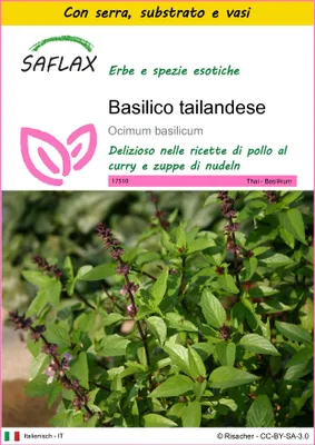 Immagine prodotto di SAFLAX Insieme di coltivazione - Basilico tailandese - 200 semi - Ocimum