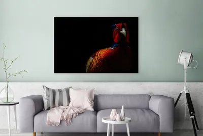 Obrázek produktu pro OneMillionCanvasses® - Obrazy na plátně - 140x90 cm, Bažant - Černý - Pták, Nástěnné umění tisk Nástěnná dekorace - Fotografie na plátně - Obraz na dřevěném rámu