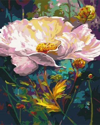 Obrázok produktu pre Malowanie po numerach BRUSHME 40x50 cm Wspaniały Kwiat