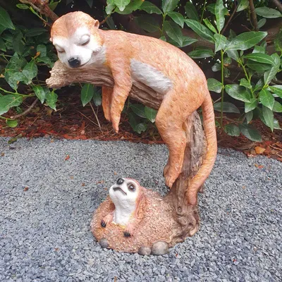 Produktbild von Gartenfigur Erdmännchen Figur schlafend auf Ast 23 cm Kunstharz – Augen geschlossen