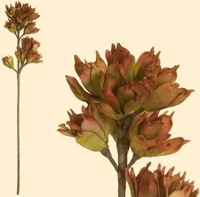 Produktbild von Gilde Deko Rhododendron 42652