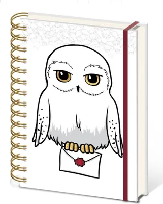 Produktbild von Harry Potter Notizbuch, Ringbindung, Format A5, Sonderausgabe