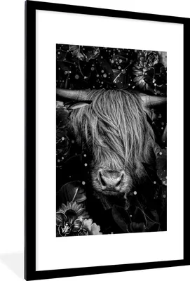 Produktbild von MuchoWow® Gerahmtes Poster Botanische schottischen Highlander mit hellen Kugeln gegen dunklen Hintergrund - schwarz und weiß 60x90 cm - Poster mit Schwarzem Bilderrahmen Wandposter Rahmen Foto Bilder - Dekoration - Wandposter Wohnzimmer - Hochwertig