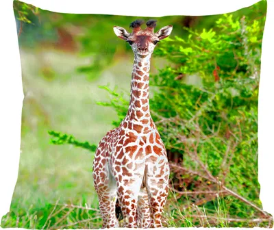 Produktbild von MuchoWow® Zierkissen Sofakissen Wohnzimmer Dekokissen 40x40 cm Baby - Giraffe - Pflanzen - Foto Kissen - Schlafzimmer Dekoration