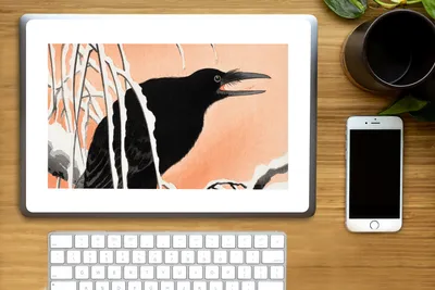 Produktbild von MuchoWow® Laptop Aufkleber Sticker Cover Vintage - Krähe - Vögel - Skandinavisch - Japanisch 36.5x27.5 cm - Laptop-Sticker