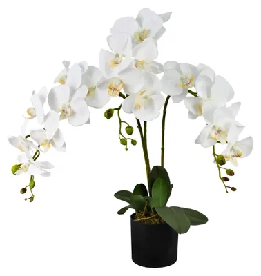 Produktbild von Künstliche Orchidee Kunstblume, Kunstpflanze 65 cm Weiß, Dekoration für Wohn- und Büroräume, Allergikerfreundlich und Pflegeleicht
