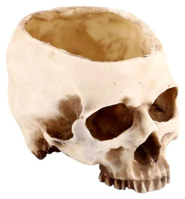 Produktbild von Halloween Süßigkeiten Schüssel Dekoration, Multifunktionaler Totenkopf Blumentopf aus Kunstharz