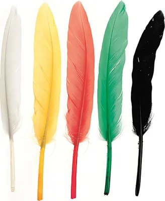 Produktbild von Indianerfeder 13cm ca. 15 Stück mix