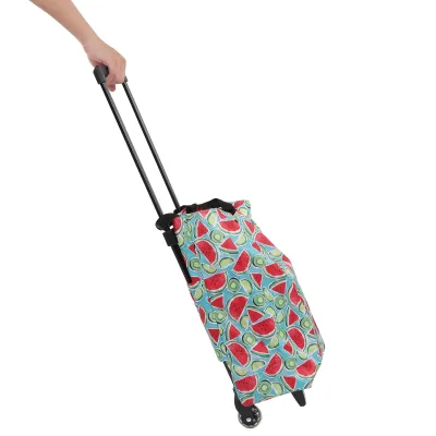 Zdjęcie produktu dla Wózek sklepowy, wózek sklepowy na kółkach, wózek spożywczy, wózek sklepowy, wózek sklepowy na artykuły spożywcze, przenośny wózek sklepowy