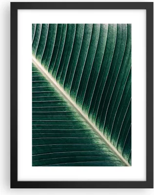 Produktbild von Gerahmtes Poster - Schwarzer Rahmen - Grün Blatt Tropisch - 30x40 cm - Wand Bild - Wanddeko - Wandbilder - Kunstposter - Wandposter - Bilderrahmen - Bilder - Kunstdruck - Wandbild - P2BPA30x40-4126