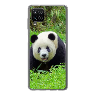 Produktbild von MuchoWow® Handyhülle Schutzhülle Hülle für Samsung Galaxy A12 Panda - Gras - Tier Silikon Softcase Handy Hülle - Bild
