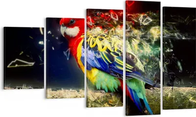 Produktbild von Bild auf Leinwand - Leinwandbild - Papagei Vogel Feder - 100x60cm - Wand Bild - Wanddeko - Leinwanddruck - Bilder - Kunstdruck - Wanddekoration - Leinwand bilder - Wandkunst - EG100x60-3682