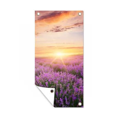 Obrázek produktu pro MuchoWow® Zahradní plakáty - Levandule - Slunce - Květiny - 80x40 cm - Zahradní dekorace