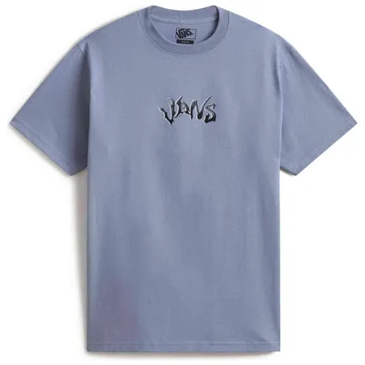 Image de T-shirt Vans Wild Circle SS Tee Glacial Slate pour Homme