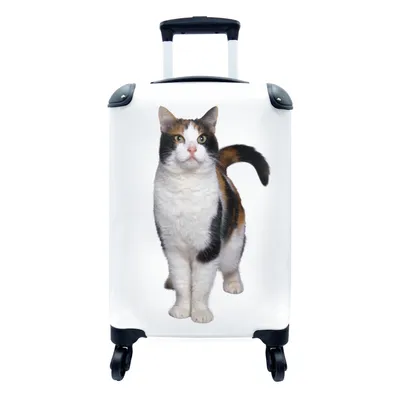 Produktbild von MuchoWow® Koffer Handgepäck Trolley Rollkoffer Kleine Reisekoffer mit 4 Rollen - Gefleckte Katze auf weißem Hintergrund - Cabin Size < 55x40x23 cm & 55x40x20 cm - Fotokoffer - Kabinenkoffer - Boardgepäck - Reise-Box - Reisekoffer - Reisegepäck - Koffer mit Bild - Trolley für Kinder