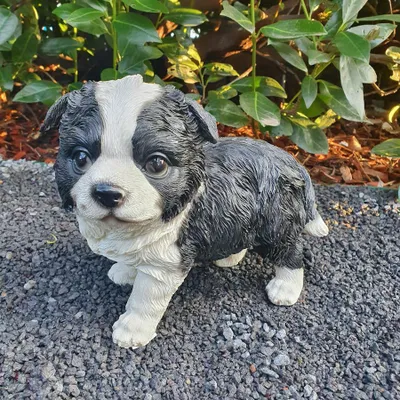 Produktbild von Gartenfigur Border Collie Figur Welpe 20 cm