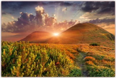 Produktbild von XXL Poster 100 x 70cm (F-210) Sommerlandschaft im Gebirge mit wunderschönem Sonnenschein,  (Lieferung gerollt!)