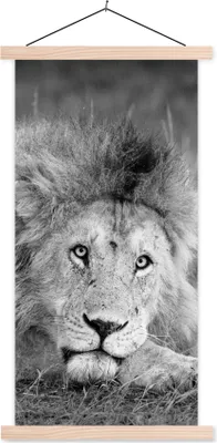 Produktbild von MuchoWow® Textilposter Löwe - Schwarz - Tiere 60x120 cm mit holzfarbenen Rahmen - Holz