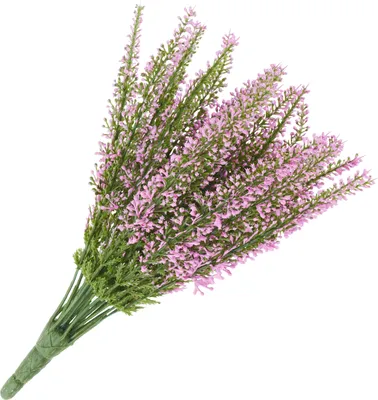 Produktbild von Erika, 24 Blütenstränge, L 26 cm Pink