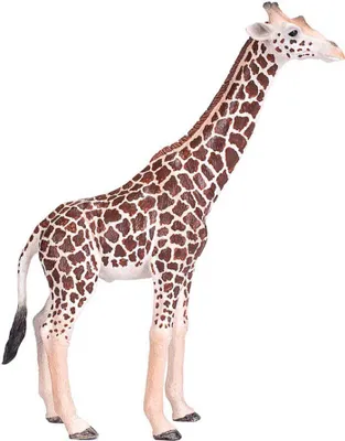 Obrázek produktu pro Hrací sada Mojo Wildlife Wildlife Safari, 6dlg. - 380026