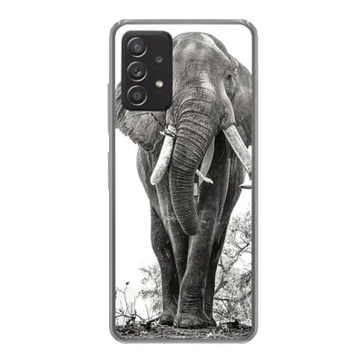 Produktbild von MuchoWow® Handyhülle Schutzhülle Hülle für Samsung galaxy a73 Elefant - Porträt - Tiere - Schwarz und weiß Silikon Softcase Handy Hülle - Handyhülle