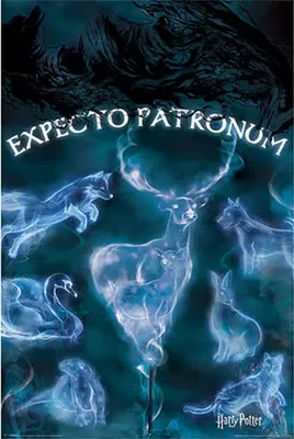 Produktbild von Harry Potter - "Patronus" Maxi-Poster CD1252 (Einheitsgröße) (Bunt)