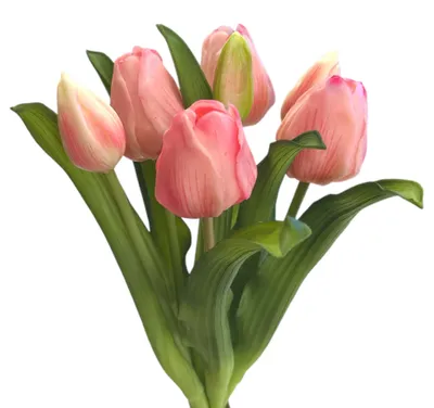 Produktbild von Künstlicher Tulpen-Bund 32cm "Soft-Touch" Kunstblume Tulpe Rosa