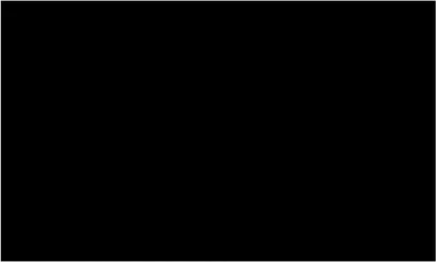 Immagine prodotto di Copripiscina Rettangolare 500x300 cm in PE Nero