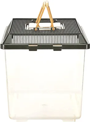 Produktbild von Exo Terra Faunarium Medium, schwarz