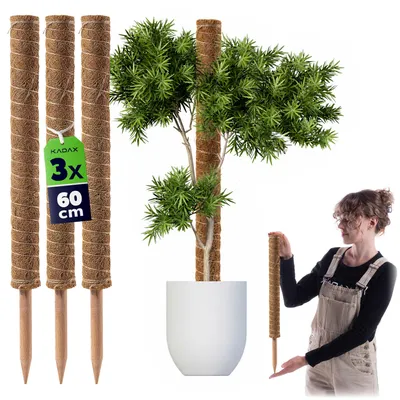 Immagine prodotto di Bastone per piante in legno di cocco KADAX, 60 cm, supporto per vasi, 3 pezzi