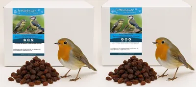 Two boxes of bird food with piles of raisins and two robins in front of them.
