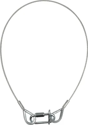Produktbild von Showgear Safety Cable 3 mm WLL: 5 kg - 60 cm - Silber