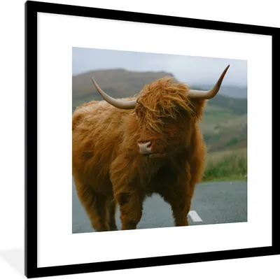 Produktbild von MuchoWow® Gerahmtes Poster Schottischer Highlander - Berg - Straße 40x40 cm - Poster mit Schwarzem Bilderrahmen Wandposter Rahmen Foto Bilder - Poster - Plakat im Rahmen