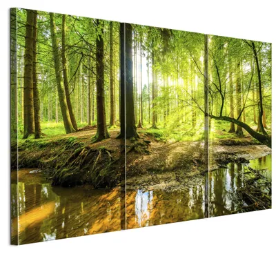 Zdjęcie produktu dla LUMASOUL Obraz na płótnie z motywem natury, obrazy na ścianę w drewnianych ramach, salon i sypialnia, 90x60 cm Eklektyczne