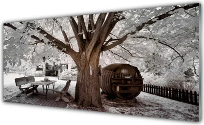 Produktbild von Glasbilder 125x50 Wandbild Druck auf Glas Baum Natur
