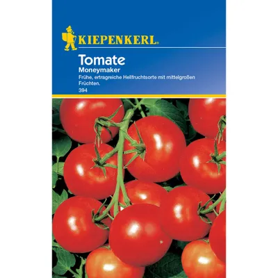 Produktbild von Kiepenkerl Salat-Tomatensamen Moneymaker