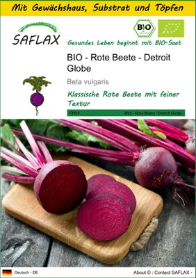 Produktbild von SAFLAX Anzucht Set - BIO - Rote Beete - Detroit Globe - Beta vulgaris - 100 Samen - Mit Mini-Gewächshaus, Anzuchtsubstrat und 2 Töpfen