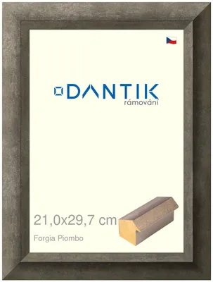Zdjęcie produktu dla Ramka DANTIK 21x29,7 | Forgia Piombo (szkło przezroczyste)