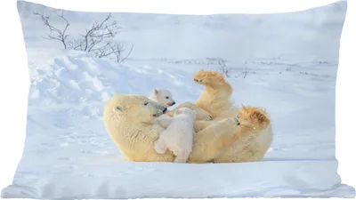 Produktbild von MuchoWow® Zierkissen Sofakissen Wohnzimmer Dekokissen 50x30 cm Eisbär - Schnee - Tiere - Wohnzimmerdekoration - Polster mit Photo