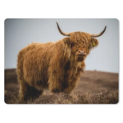 Produktbild von MuchoWow® Mauspad Mousepad Schottischer Highlander - Düne - Gras 40x30 cm - Mousepads - Maus Mat - Pad - Mausunterlage - Anti Rutsch