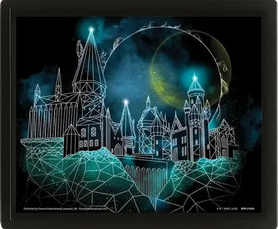 Zdjęcie produktu dla harry Potter - Obraz Hogwartu 3D